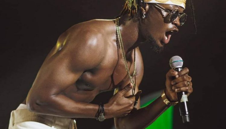 Santrinos Raphael un an après Mansa